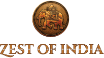 ZOI Logo PNG